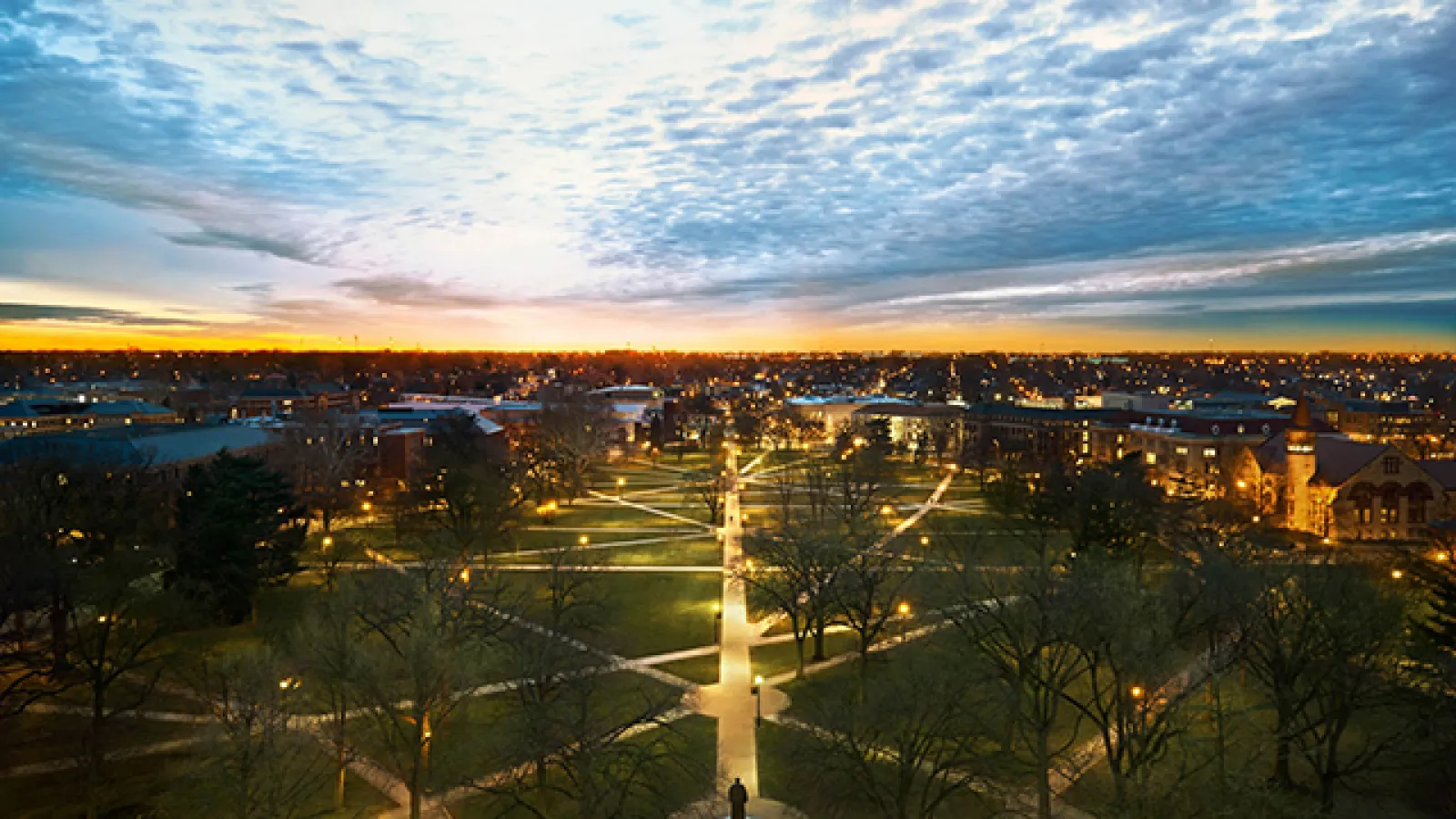 The Oval at dawn