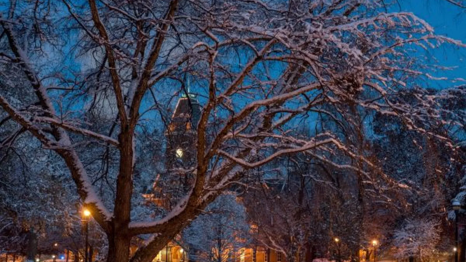 Winter trees at dusk, in front of University Hall, a brick building with a tall tower
