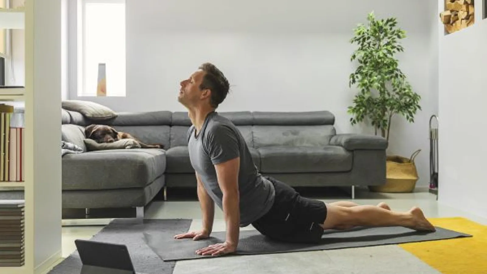 man doing yoga while a dog watches from the couch