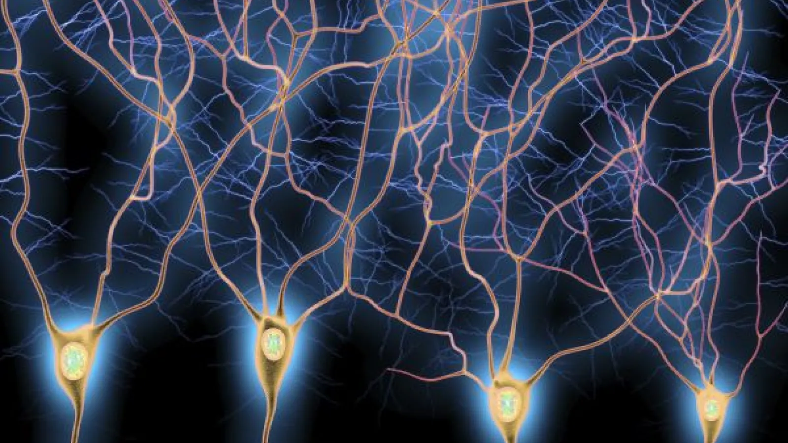 an illustration of brain cells
