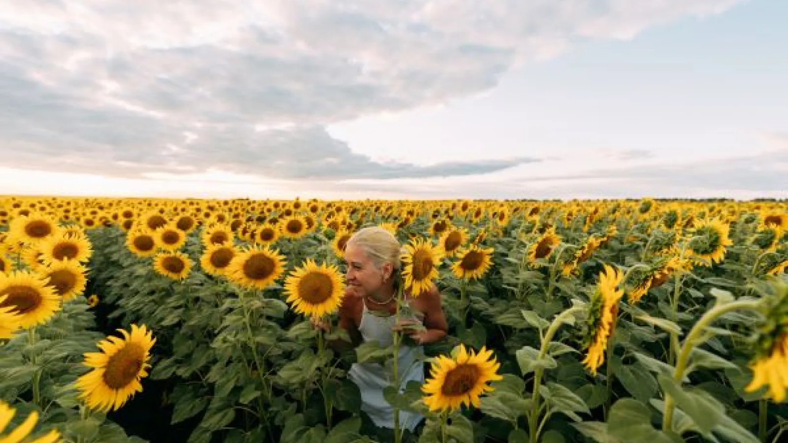 a woman standing in a field of sunflowers
