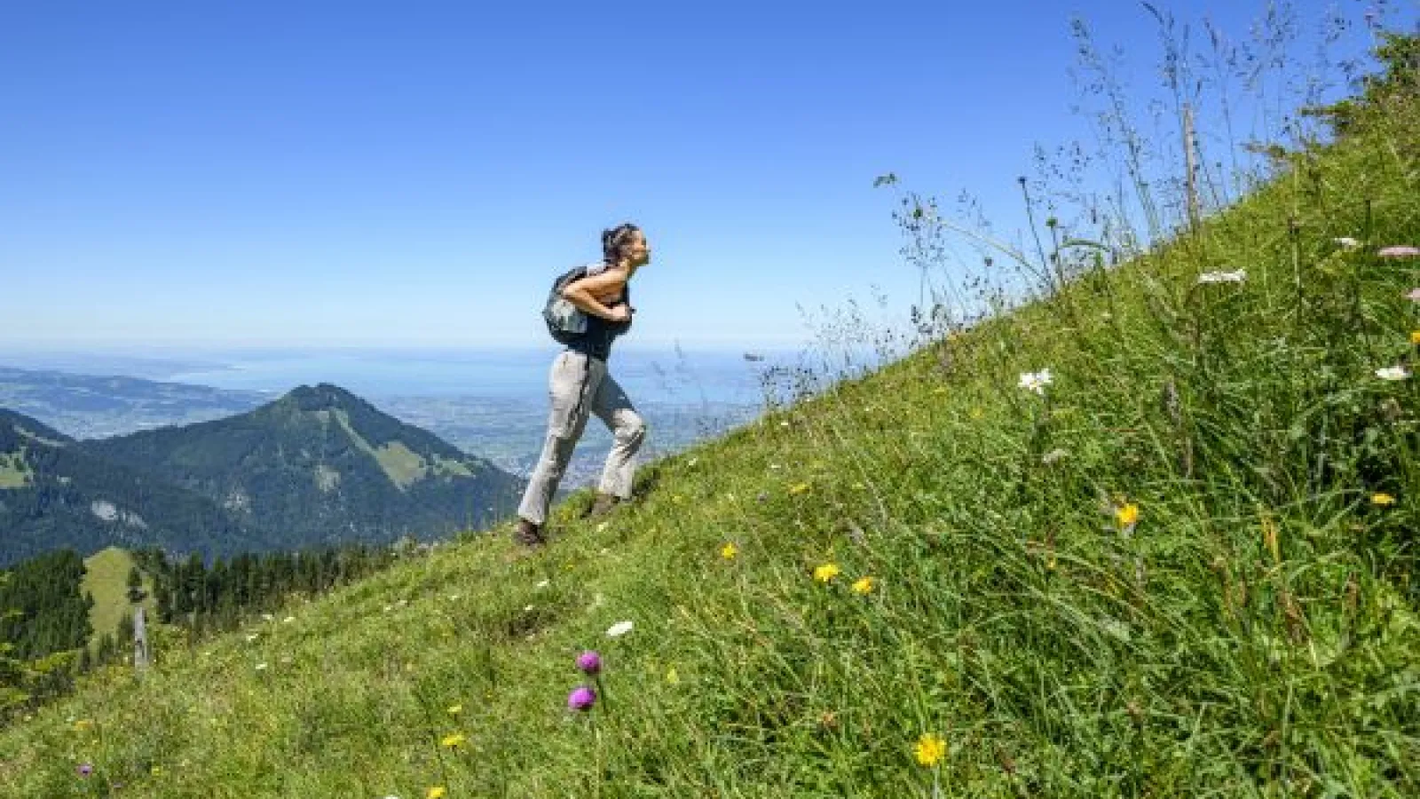 a woman hiking up a steep grassy hill