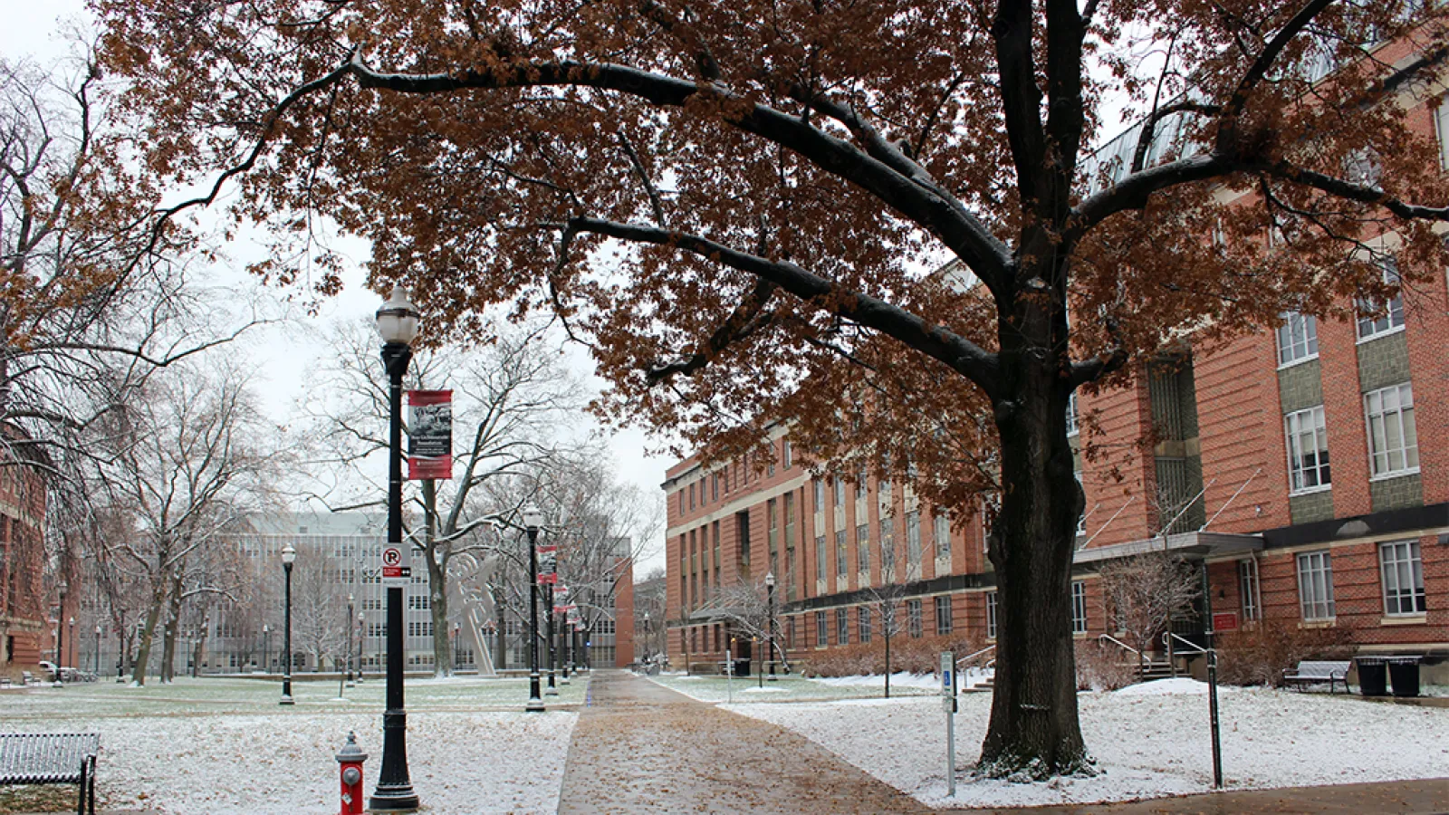 Campus image