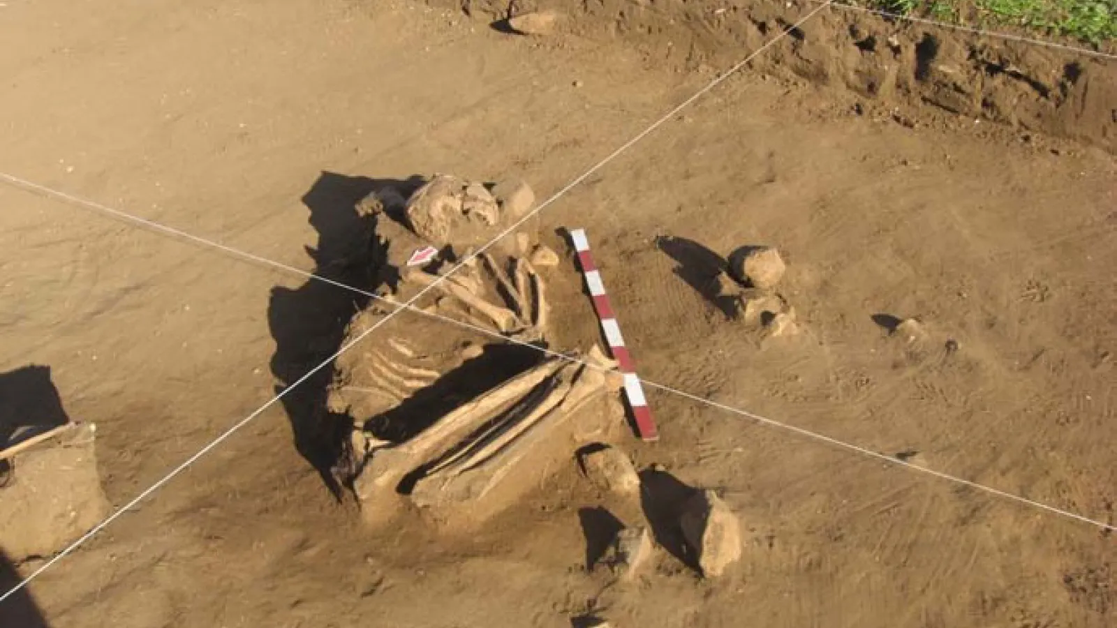 The skeletal remains of an individual from a site in Chile.