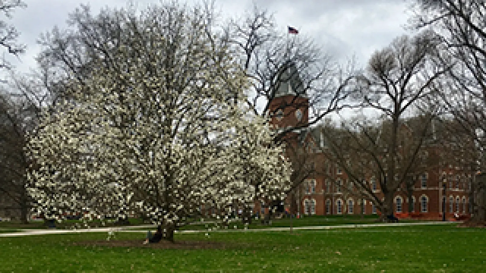 University Hall spring